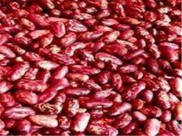 Nyayo   Beans 1kg 