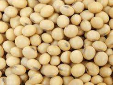 Soya  Beans 1kg