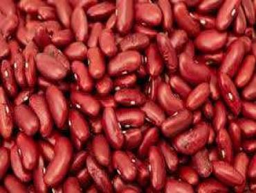 Small Red Kidney  Beans
