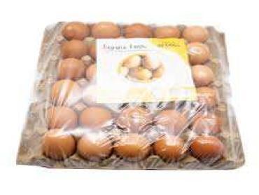 Kenegg Golden York Egg  30 Pcs