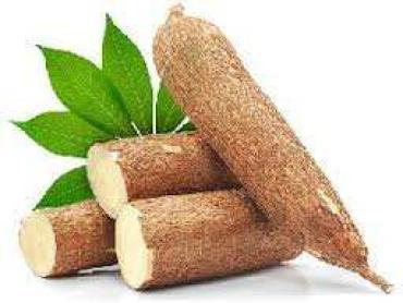 Cassava  P-kg