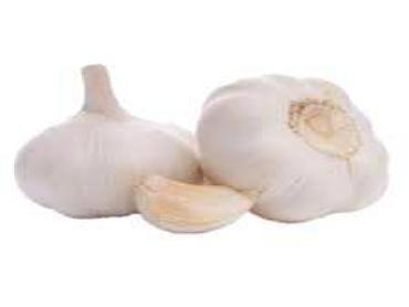 Fresh Garlic Imported P/Kg