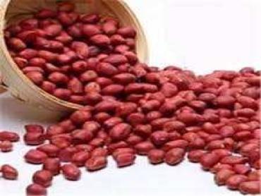 Raw Red Peanuts 100 g