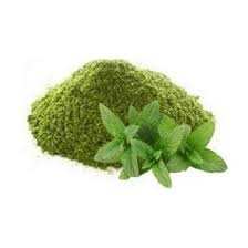 Mint Powder 100g