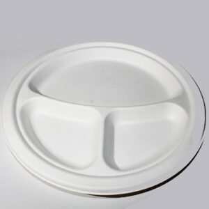 Bagasse plates and bowls - SUGARCANE PULP