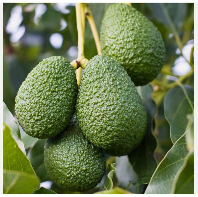 Lilwa Marketplace products