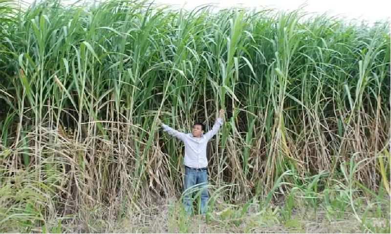 Lilwa Marketplace products